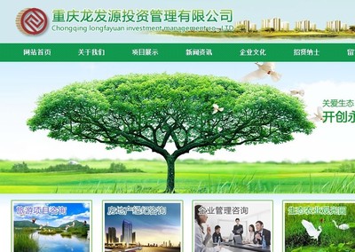 深耕細作 重慶龍發源投資管理網站順利上線記